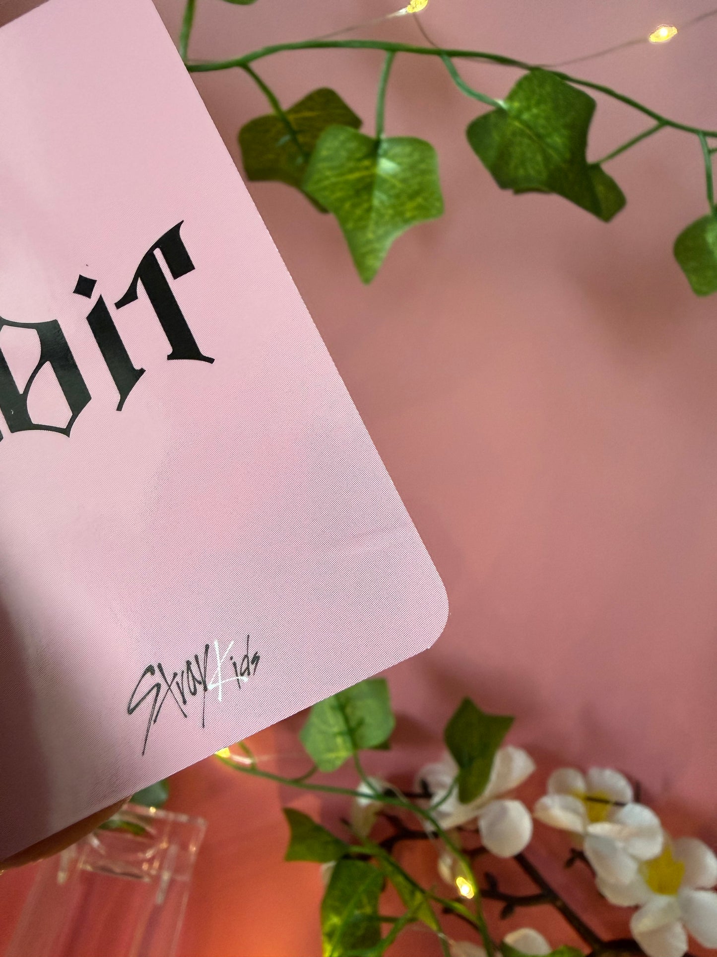 Stray Kids - DO IT - YES 24 POB (Lee Know) (minor damage to back of card) (Copy)