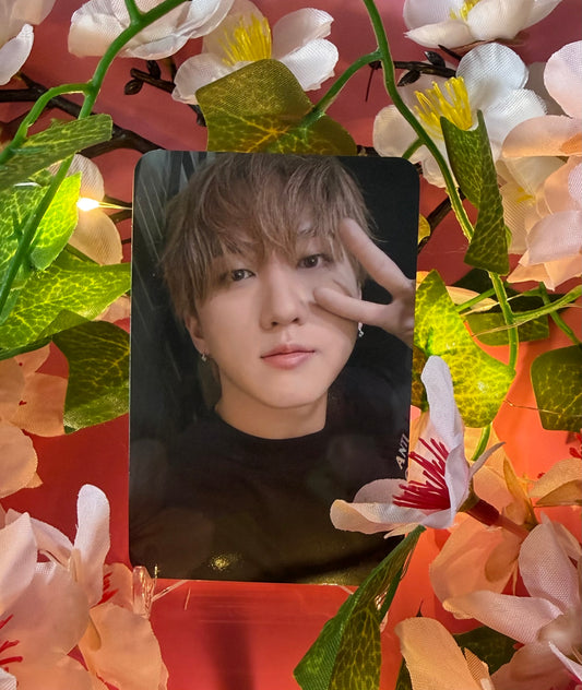 Stray Kids - DO IT - YES 24 POB (Lee Know) (minor damage to back of card) (Copy)