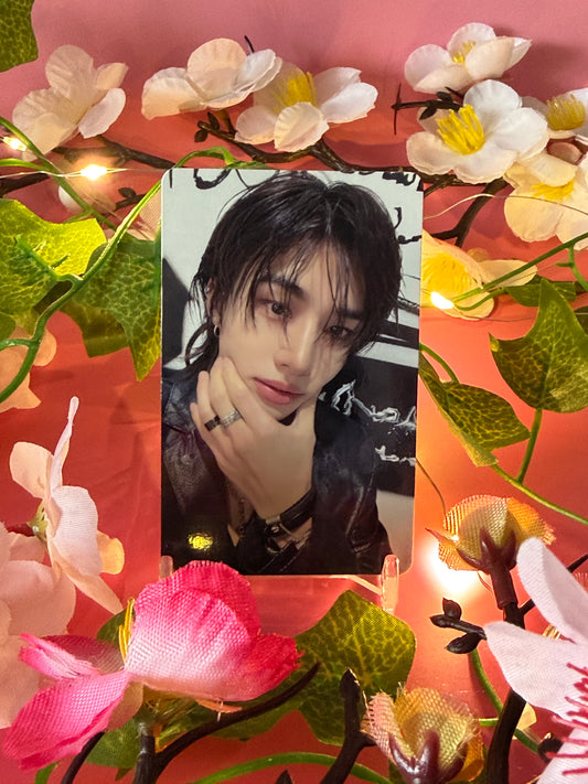 Stray Kids - DominATE - POB - Photocard